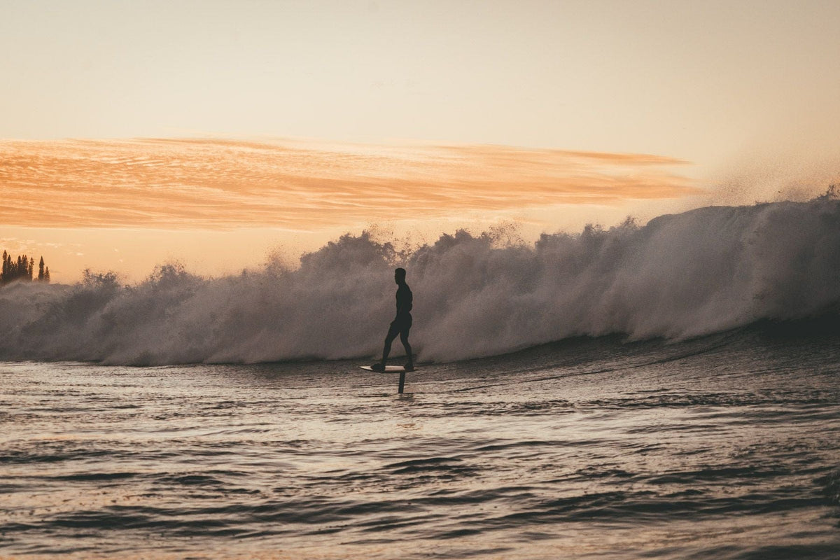 SURF SERIES BACK WINGS