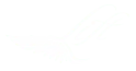 Lift Foils logo